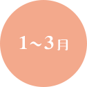 1~3月