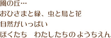 風の丘…　おひさまと緑、虫と鳥と花　自然がいっぱい　ぼくたち　わたしたちのようちえん